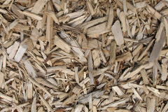 biomass boilers Cowpen